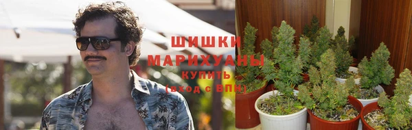 метадон Коряжма