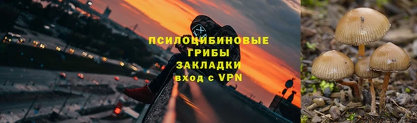 прущая мука Краснослободск
