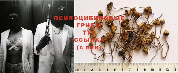прущая мука Краснослободск