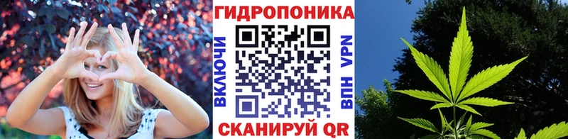 Бошки Шишки ГИДРОПОН  Сычёвка 